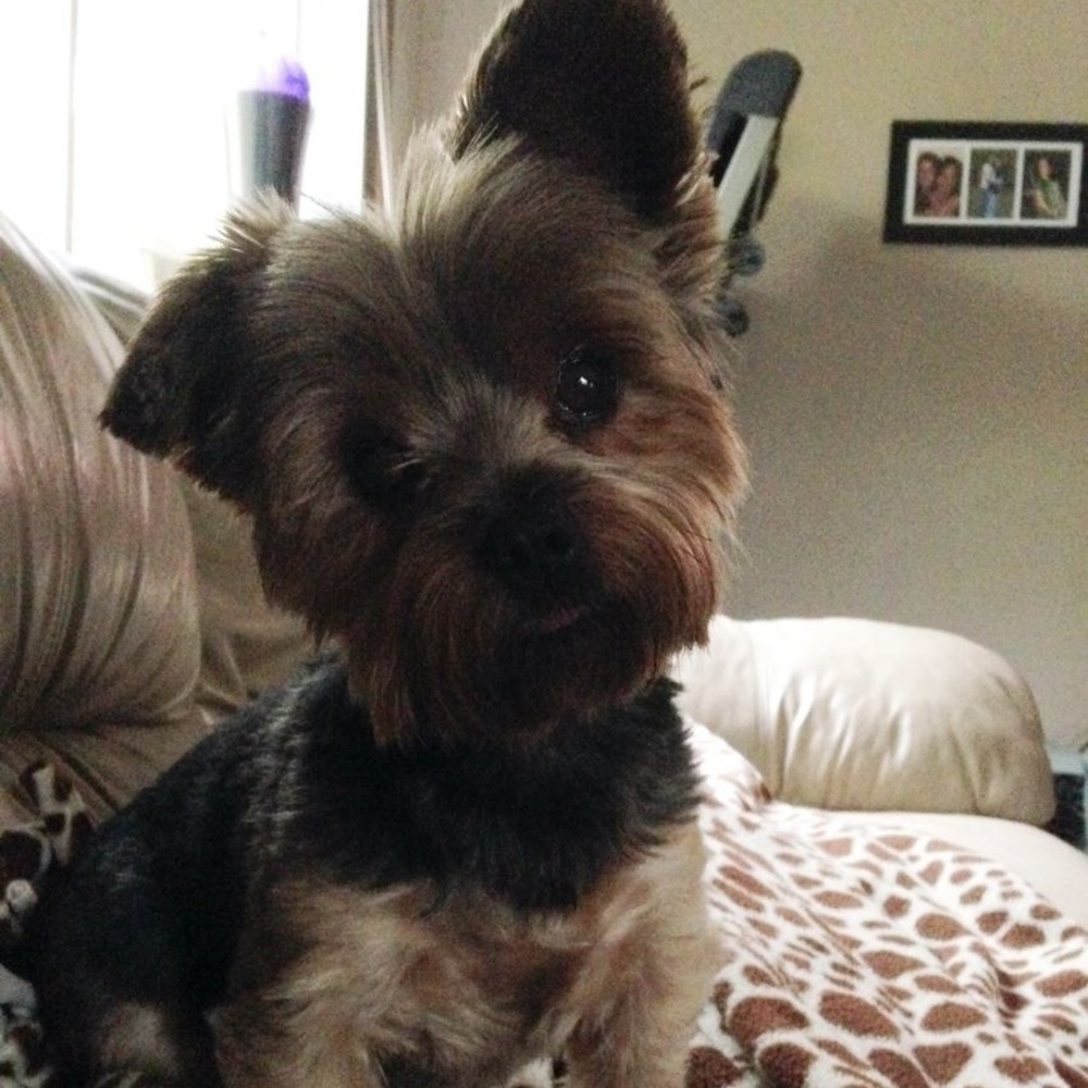 Meet your Posher, Rena